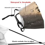 yanfind Foggy Morning Dawn Haze Tree Tree Fog Misty Silhouette Fog Sunrise Sky Dust Washable Reusable Filter and Reusable Mouth Warm Windproof Cotton Face