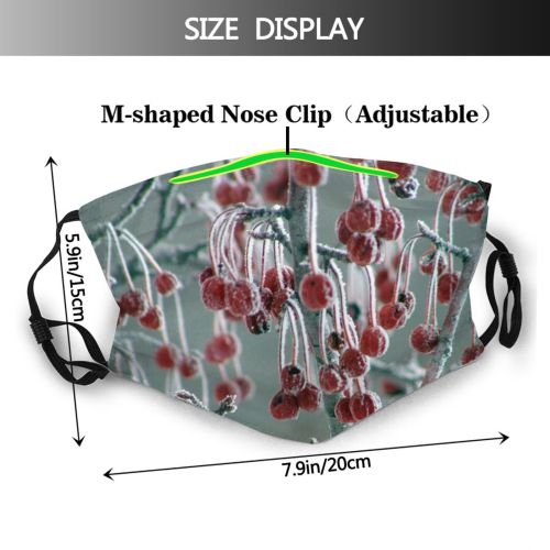 yanfind Winter Wisconsin Frost Bushes Crab Cranberry Frigid Plant Ice Branch December Flower Dust Washable Reusable Filter and Reusable Mouth Warm Windproof Cotton Face