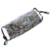 yanfind Winter Flower Frost Winter Subshrub Buddleia Plant Flower Flowering Leaf Leaf Frost Dust Washable Reusable Filter and Reusable Mouth Warm Windproof Cotton Face