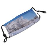 yanfind Winter Christmas Winter Natural Woody Landscape Sky Snow Tree Tree Frost Daytime Dust Washable Reusable Filter and Reusable Mouth Warm Windproof Cotton Face