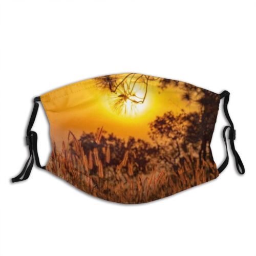 yanfind Cereal Wheat Dry Beautiful Foliage Meadow Season Field Rye Sky Bread Farm Dust Washable Reusable Filter and Reusable Mouth Warm Windproof Cotton Face