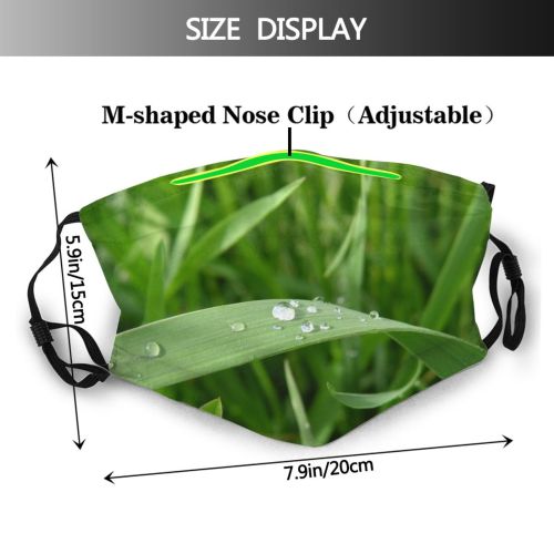 yanfind Plant Drop Grass Moisture Plant Beauty Family Light Terrestrial Drops Leaf Grass Dust Washable Reusable Filter and Reusable Mouth Warm Windproof Cotton Face