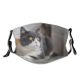 yanfind Family Indoor Pet Prone Eyes Nobody Furry Rest Cat British Cute Fat Dust Washable Reusable Filter and Reusable Mouth Warm Windproof Cotton Face