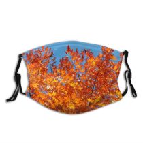 yanfind Temperate Maple Autumn Woody Leaves Plant Fall Broadleaf Flower Forest Leaf Hardwood Dust Washable Reusable Filter and Reusable Mouth Warm Windproof Cotton Face