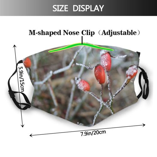 yanfind Winter Flower Rose Plant Flower Rosa Twig Ice Plant Frost Rubiginosa Bud Dust Washable Reusable Filter and Reusable Mouth Warm Windproof Cotton Face
