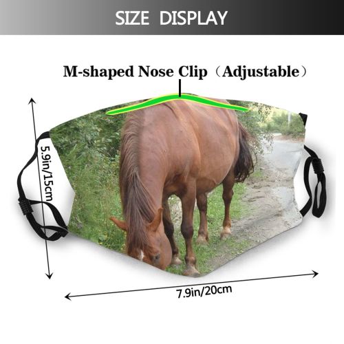 yanfind Grazing Vertebrate Mare Mustang Wildlife Horse Sorrel Stallion Horse Mane Dust Washable Reusable Filter and Reusable Mouth Warm Windproof Cotton Face