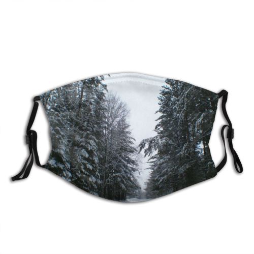 yanfind Winter Frozen Sky Winter Atmospheric Branches Woody Branch Sky Ice Branch Snow Dust Washable Reusable Filter and Reusable Mouth Warm Windproof Cotton Face