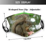 yanfind Esquilo Vertebrate Tail Squirrel Fox Organism Squirrel Com Whiskers Wildlife Snout Rodent Dust Washable Reusable Filter and Reusable Mouth Warm Windproof Cotton Face