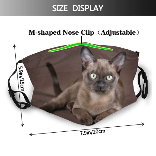 yanfind Fur Young Cat Kitty Cute Burmese Charming Beautiful Pet Studio Eyes Tail Dust Washable Reusable Filter and Reusable Mouth Warm Windproof Cotton Face