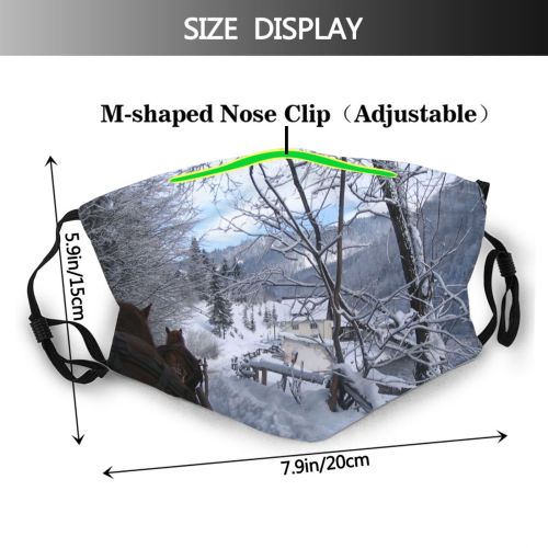 yanfind Winter Geological Landscape Sky Tree Ice Storm Blizzard Frost Winter Freezing Snow Dust Washable Reusable Filter and Reusable Mouth Warm Windproof Cotton Face