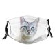 yanfind Isolated Fur Young Striped Cat Kitty Cute Beautiful Sweet Face Pretty Pet Dust Washable Reusable Filter and Reusable Mouth Warm Windproof Cotton Face