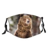 yanfind Grand Wild Care Tree Snow Forest Wilderness Wyoming Wildlife USA Park Teton Dust Washable Reusable Filter and Reusable Mouth Warm Windproof Cotton Face