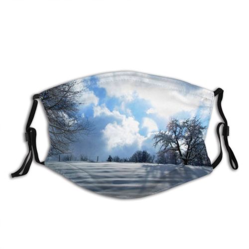 yanfind Winter Swiss Winter Natural Atmospheric Sun Cloud Landscape Sky Snow Switzerland Tree Dust Washable Reusable Filter and Reusable Mouth Warm Windproof Cotton Face