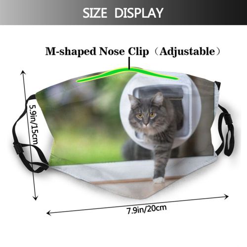 yanfind Garden Whisker Fur Cat Cute Coon Focus Window Door Entering Room Summer Dust Washable Reusable Filter and Reusable Mouth Warm Windproof Cotton Face