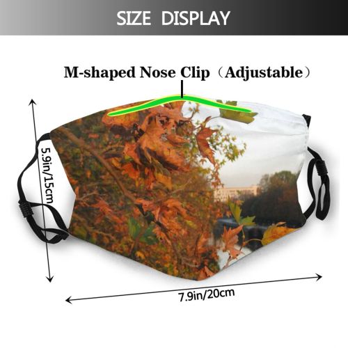 yanfind Leaves Landscape Vegetation Leaf Reflection River Tree Sky Natural Autumn Autumn Bank Dust Washable Reusable Filter and Reusable Mouth Warm Windproof Cotton Face