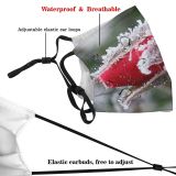 yanfind Winter Impressions Macro Leaf Plant Bud Frost Winter Freezing Snow Plants Flower Dust Washable Reusable Filter and Reusable Mouth Warm Windproof Cotton Face