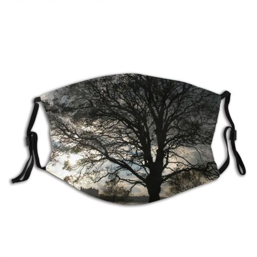 yanfind Winter Cloud Landscape Sky Tree Tree Branch Plant Atmosphere Natural Morning Atmospheric Dust Washable Reusable Filter and Reusable Mouth Warm Windproof Cotton Face