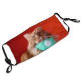 yanfind Isolated Fur Meow Cat Kitty Cute Clinic Coon Vet Vaccination Medical Ginger Dust Washable Reusable Filter and Reusable Mouth Warm Windproof Cotton Face