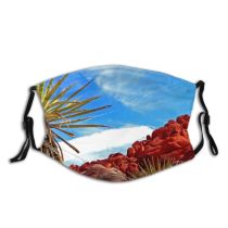 yanfind Flower Nevada Desert Yucca Tree Rocks Canyon Plant Landscape West Cloud Mountains Dust Washable Reusable Filter and Reusable Mouth Warm Windproof Cotton Face