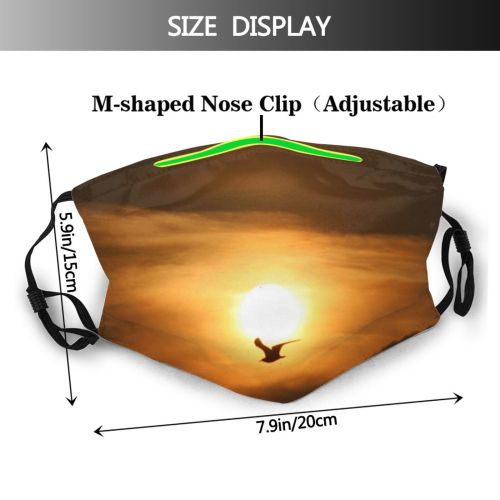 yanfind Closeup Seagull Sky Morning Cloud Hope Sunset Sky Serenity Texas Sunlight Sunrise Dust Washable Reusable Filter and Reusable Mouth Warm Windproof Cotton Face
