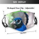 yanfind Roratus Eclectus Peahens Avian Phasianidae Beak Feather Peafowls Peafowl Electric Cobalt Peacocks Dust Washable Reusable Filter and Reusable Mouth Warm Windproof Cotton Face
