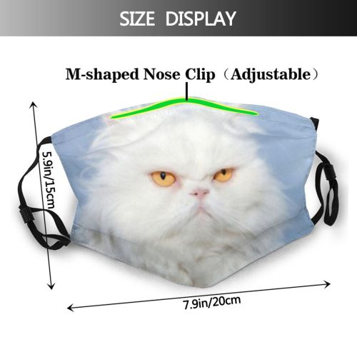 yanfind Isolated Fur Young Cat Cute Sky Watching Space Beautiful Face Pretty Vertebrate Dust Washable Reusable Filter and Reusable Mouth Warm Windproof Cotton Face