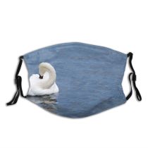 yanfind Geese Lake Swans Wildlife Bird Bird Waterfowl Ducks Tundra Swan Swan Beak Dust Washable Reusable Filter and Reusable Mouth Warm Windproof Cotton Face