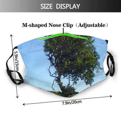 yanfind Striking Clear Sky Plant Sky Tree Tree Plant Branch Grass California Road Dust Washable Reusable Filter and Reusable Mouth Warm Windproof Cotton Face