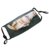 yanfind Chill Apartment College Teacher Fur Cat Cute Write Slate Cheerful Ginger Blackboard Dust Washable Reusable Filter and Reusable Mouth Warm Windproof Cotton Face