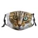 yanfind Fur Cat Kitty Cute Curious Beautiful Pretty Face Pet Fluffy Eyes Closeup Dust Washable Reusable Filter and Reusable Mouth Warm Windproof Cotton Face