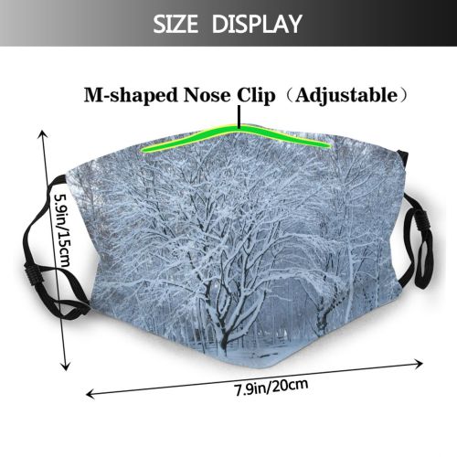 yanfind Winter Frost Heritage Winter Natural Atmospheric Woody Landscape Sky Branch Snow Olsztynek Dust Washable Reusable Filter and Reusable Mouth Warm Windproof Cotton Face