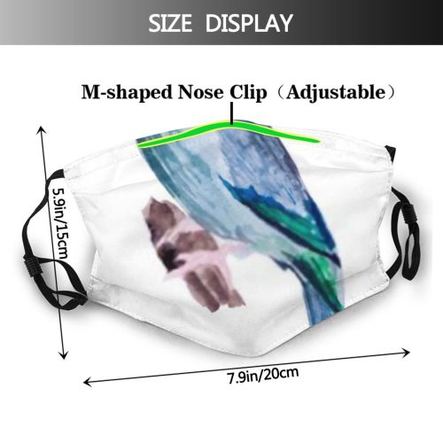 yanfind Isolated Bird Free Cute Feather Colorful Sky Natural Ornithology Wildlife Summer Vintage Dust Washable Reusable Filter and Reusable Mouth Warm Windproof Cotton Face