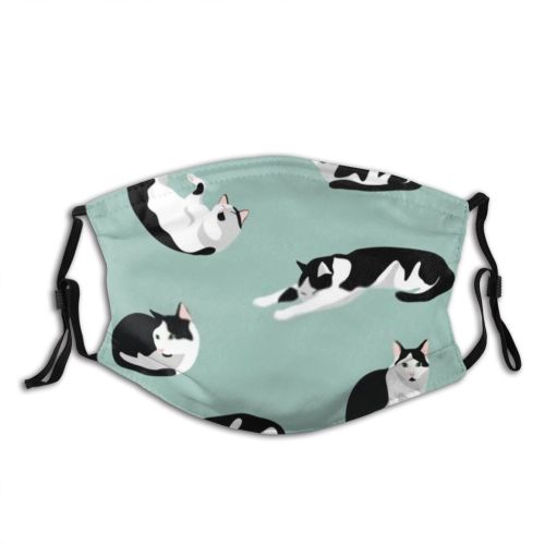 yanfind Isolated Fur Cat Kitty Cute Pure Colorful Friend Design Playing Pet Stretching Dust Washable Reusable Filter and Reusable Mouth Warm Windproof Cotton Face