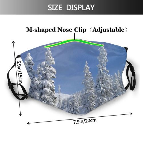 yanfind Winter Sky Spruce Winter Landscape Sky Balsam Shortleaf Spruce Snow Clouds Pine Dust Washable Reusable Filter and Reusable Mouth Warm Windproof Cotton Face