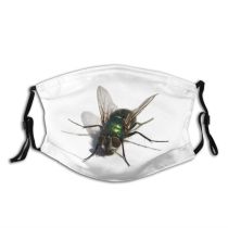 yanfind Fly Invertebrate Insect Membrane Winged Flying Fly Stable Tachinidae Pest Insect Blowflies Dust Washable Reusable Filter and Reusable Mouth Warm Windproof Cotton Face