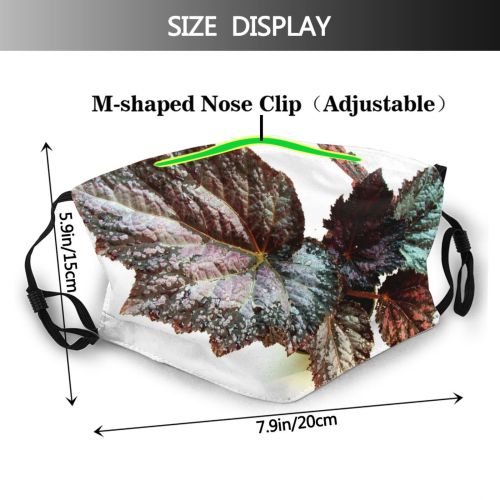 yanfind Flowering Perilla Leaves Leaf Plant Plant Botany Grape Plane Vitis Frutescens Flower Dust Washable Reusable Filter and Reusable Mouth Warm Windproof Cotton Face