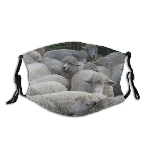 yanfind Herding Horse Dog Goat Cat Pasture Cow Vertebrate Herd Sheep Family Terrestrial Dust Washable Reusable Filter and Reusable Mouth Warm Windproof Cotton Face