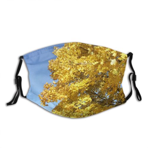 yanfind Maidenhair Leaf Plant Sky Spring Tree Tree Plant Branch Autumn Autumn Woody Dust Washable Reusable Filter and Reusable Mouth Warm Windproof Cotton Face