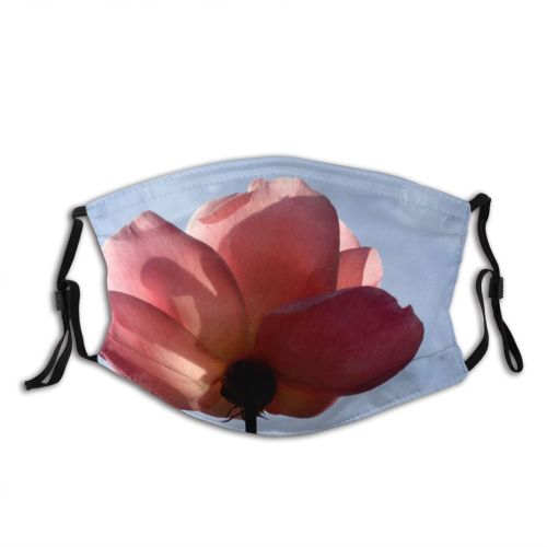 yanfind Flower Blossom Rose Cloud Flowering Sky Plant Plant Botany Petal Daytime Flower Dust Washable Reusable Filter and Reusable Mouth Warm Windproof Cotton Face
