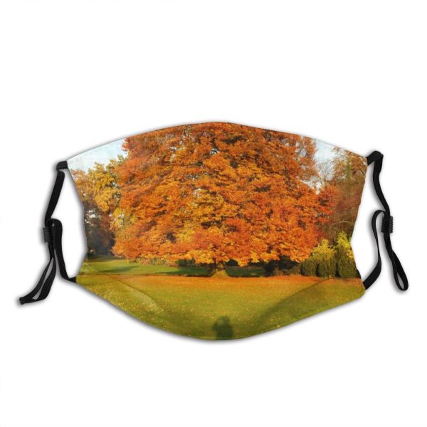 yanfind Path Bushes Trunk Natural Woody Leaves Landscape Sky Plant Romantic Bush Wood Dust Washable Reusable Filter and Reusable Mouth Warm Windproof Cotton Face