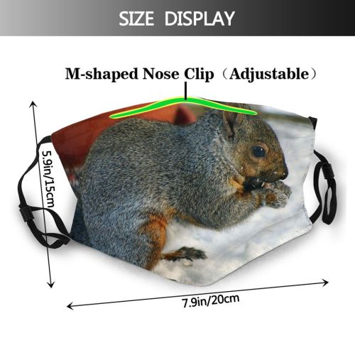 yanfind Ground Squirrel Birding Backyard Mammals Snow Whiskers Squirrels Snout Rodent Vertebrate Squirrel Dust Washable Reusable Filter and Reusable Mouth Warm Windproof Cotton Face