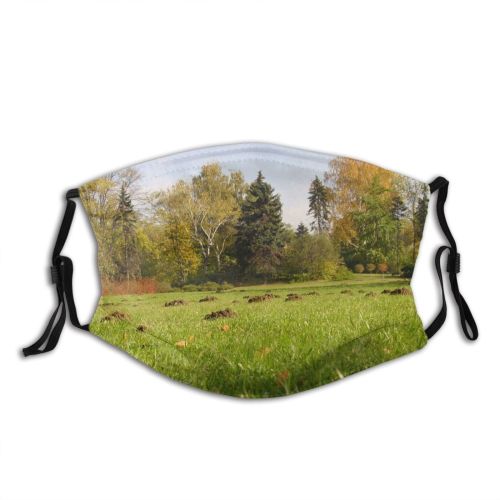 yanfind Molehill Natural Autumn Landscape Vegetation Fall Wood Meadow Pasture Grassland Forest Tree Dust Washable Reusable Filter and Reusable Mouth Warm Windproof Cotton Face