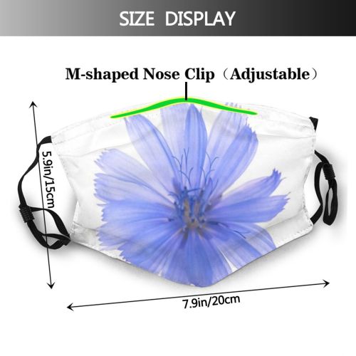 yanfind  Studio Flower Garden Flora ness Clipping Delicate Plant Treatment Endive Fragrant Dust Washable Reusable Filter and Reusable Mouth Warm Windproof Cotton Face