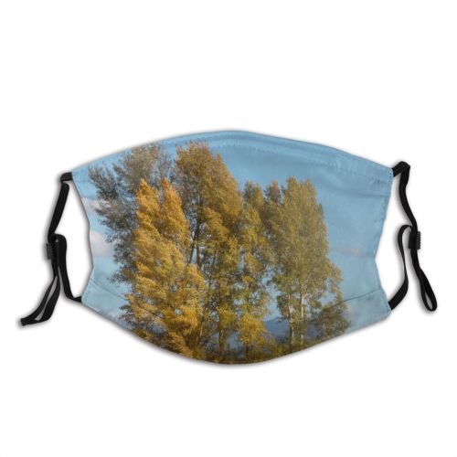 yanfind Natural Autumn Larch Woody Landscape Sky Plant Wood Leaf Forest Leaf Tree Dust Washable Reusable Filter and Reusable Mouth Warm Windproof Cotton Face