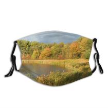 yanfind Lake Natural Autumn Leaves Hampshire Landscape Reflection Fall Sky Leaf Leaf Pond Dust Washable Reusable Filter and Reusable Mouth Warm Windproof Cotton Face