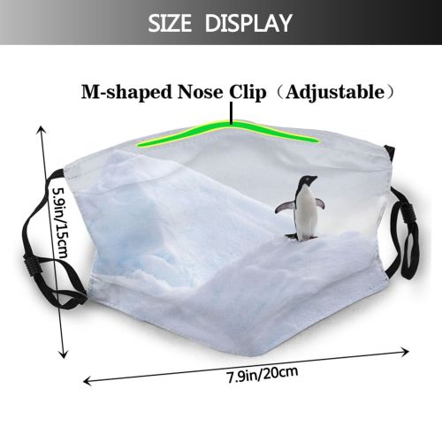yanfind Ice Penguin Environmental Wild Freedom Polar Scene Ocean Antarctic Wildlife Change Antarctica Dust Washable Reusable Filter and Reusable Mouth Warm Windproof Cotton Face