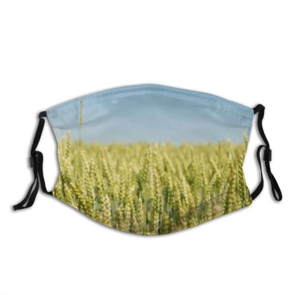 yanfind Cereal Wheat Buckwheat Season Field Spring Sky Stem Grow Spike Farming Farm Dust Washable Reusable Filter and Reusable Mouth Warm Windproof Cotton Face
