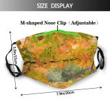 yanfind Temperate Maples Pentax Fall Branches Woody D Branch Maple Plant Broadleaf Branch Dust Washable Reusable Filter and Reusable Mouth Warm Windproof Cotton Face