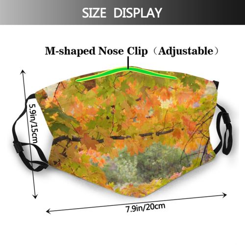 yanfind Temperate Maples Pentax Fall Branches Woody D Branch Maple Plant Broadleaf Branch Dust Washable Reusable Filter and Reusable Mouth Warm Windproof Cotton Face