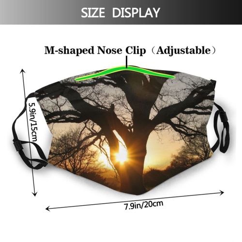 yanfind Natural Atmospheric Sun Autumn Woody Branch Sunset Landscape Sky Branch Sunlight Tree Dust Washable Reusable Filter and Reusable Mouth Warm Windproof Cotton Face